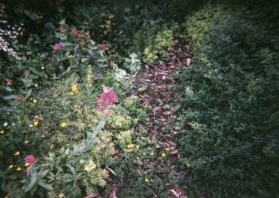 NAOMI, Old Library Youth Club, West Norwood